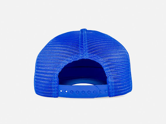 Mo Money Mo Problems Blue John Hatter Co Cap